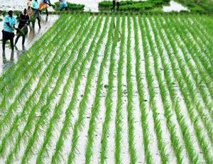 Agri-Business Fair 2025 to Be Held in Chennai with Mega Exhibition