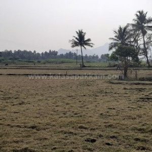 கலசபாக்கம் அடுத்த வில்வாரணி பகுதியில் விவசாய நிலம் குத்தகைக்கு!